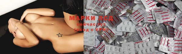 стафф Осинники