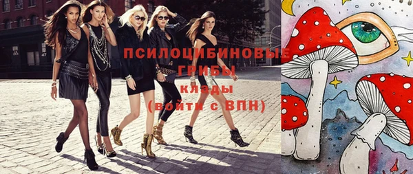 стафф Осинники