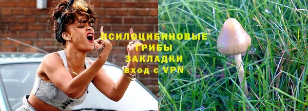 стафф Осинники