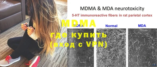 стафф Осинники