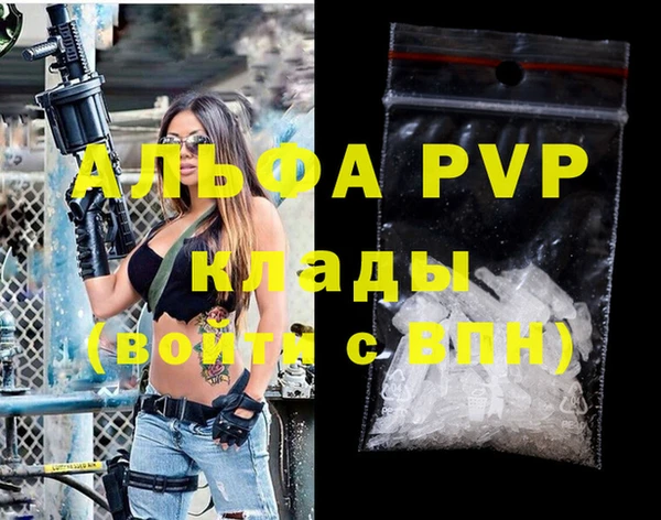 стафф Осинники